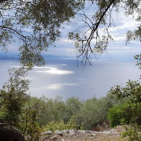 Rizes Sea View Villa Nisaki  Buitenkant foto